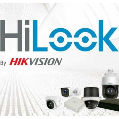 Приглашаем партнеров на семинар по HiLook!